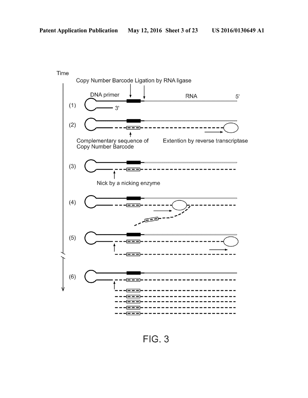 Single Cell Nucleic Acid Detection and Analysis - diagram, schematic, and image 04