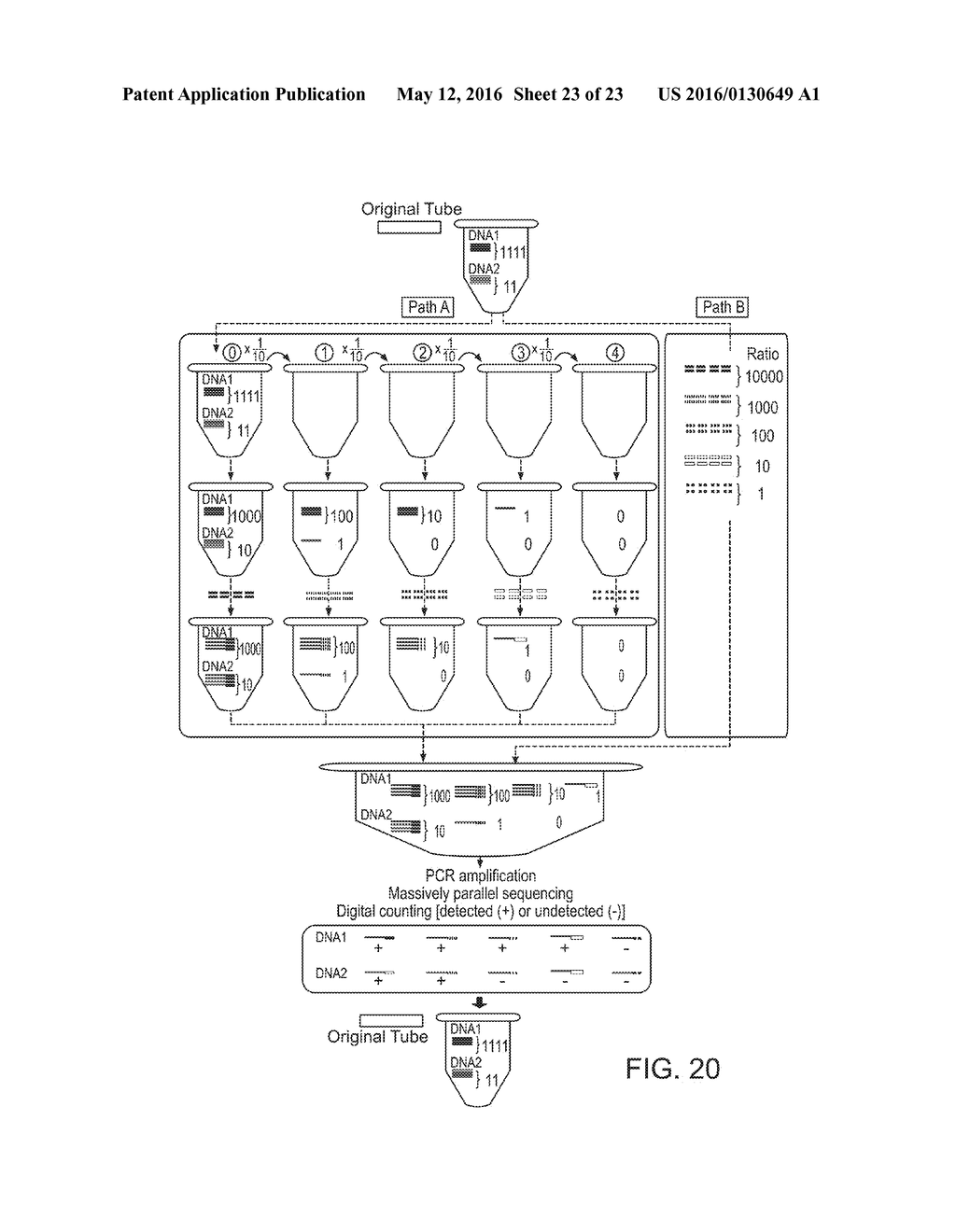 Single Cell Nucleic Acid Detection and Analysis - diagram, schematic, and image 24