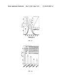 POLYNUCLEOTIDE PROBE, METHOD FOR DETECTING A TARGET NUCLEIC ACID BY USING     THE SAME AND KIT COMPRISING THE SAME diagram and image