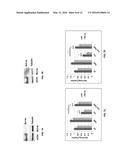 SYSTEMS AND METHODS FOR DIAGNOSING AND TREATING CANCER diagram and image