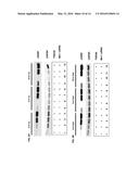 SYSTEMS AND METHODS FOR DIAGNOSING AND TREATING CANCER diagram and image