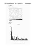 WROUGHT MATERIAL COMPRISING Cu-Al-Mn-BASED ALLOY EXCELLENT IN STRESS     CORROSION RESISTANCE AND USE THEREOF diagram and image