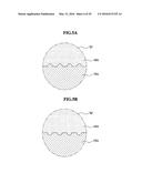 LIGHT-EMITTING APPARATUS diagram and image