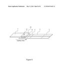 Rapid Lateral Flow Assay Method for Low Quantity Liquid or Dry Samples diagram and image