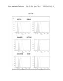 TUMOR MARKER, MONOCLONAL ANTIBODIES AND METHODS OF USE THEREOF diagram and image