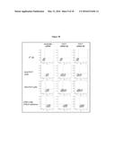 TUMOR MARKER, MONOCLONAL ANTIBODIES AND METHODS OF USE THEREOF diagram and image