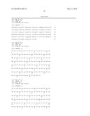 TUMOR MARKER, MONOCLONAL ANTIBODIES AND METHODS OF USE THEREOF diagram and image