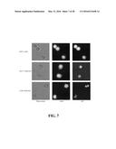 METHOD AND KIT FOR ASSESSING VIABLE CELLS diagram and image