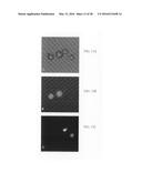 METHOD AND KIT FOR ASSESSING VIABLE CELLS diagram and image