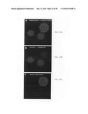 METHOD AND KIT FOR ASSESSING VIABLE CELLS diagram and image