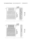 DISPLAY DEVICE diagram and image