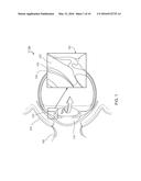 SPOOF DETECTION FOR BIOMETRIC AUTHENTICATION diagram and image