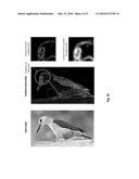 LOCAL FEATURE REPRESENTATION FOR IMAGE RECOGNITION diagram and image