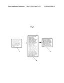 TAX REFUND LOAN SYSTEM ABSENT IRS AND FMS DEBT INDICATOR diagram and image