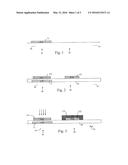 LTPS TFT Having Dual Gate Structure and Method for Forming LTPS TFT diagram and image
