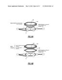 GENERALIZED SERVICE PROTECTION SYSTEMS AND METHODS diagram and image