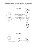 COMMUNICATION APPARATUS THAT ESTABLISHES CONNECTION WITH ANOTHER APPARATUS     BASED ON DISPLACEMENT INFORMATION OF BOTH APPARATUSES diagram and image