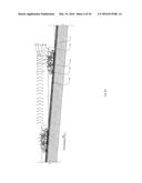 VEGETATED ROOF SYSTEMS, APPARATUSES AND METHODS diagram and image