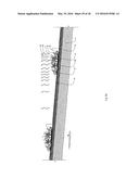 VEGETATED ROOF SYSTEMS, APPARATUSES AND METHODS diagram and image