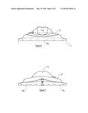 SURFACE CLEANING APPARATUS diagram and image