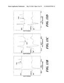 REAL-TIME MULTI-FUNCTIONAL ECG SIGNAL PROCESSING SYSTEM, DSPE FOR THE ECG     SIGNAL PROCESSING SYSTEM, AND METHOD THEREOF diagram and image