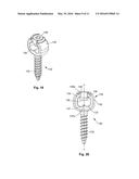 GROWING SPINAL RODS AND PEDICLE SCREWS FOR SECURING MULTIPLE SPINAL RODS diagram and image