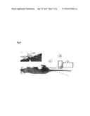 STEREOSPECIFIC LIPIDS FOR LOCOREGIONAL THERAPY WITH LONG-TERM CIRCULATING     STIMULI-SENSITIVE NANOCARRIER SYSTEMS diagram and image