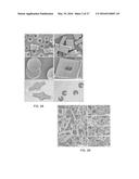 ENGINEERED AEROSOL PARTICLES, AND ASSOCIATED METHODS diagram and image