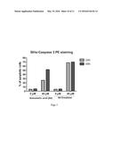 Pharmaceutical compositions of Anisomelic acid and the use thereof diagram and image