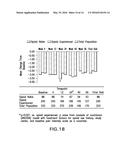 EXTENDED RELEASE HYDROCODONE ACETAMINOPHEN AND RELATED METHODS AND USES     THEREOF diagram and image