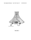 METHOD FOR PREVENTING AND/OR TREATING CHRONIC TRAUMATIC ENCEPHALOPATHY-II diagram and image