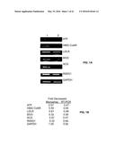 Methods and Compositions for the Treatment of Cancer and Related     Hyperproliferative Disorders diagram and image