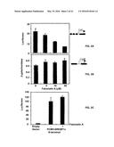 Methods and Compositions for the Treatment of Cancer and Related     Hyperproliferative Disorders diagram and image