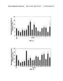 Methods and Compositions for the Treatment of Cancer and Related     Hyperproliferative Disorders diagram and image