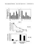 Methods and Compositions for the Treatment of Cancer and Related     Hyperproliferative Disorders diagram and image