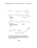 Methods and Compositions for the Treatment of Cancer and Related     Hyperproliferative Disorders diagram and image