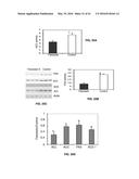 Methods and Compositions for the Treatment of Cancer and Related     Hyperproliferative Disorders diagram and image