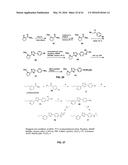 Methods and Compositions for the Treatment of Cancer and Related     Hyperproliferative Disorders diagram and image