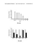 Methods and Compositions for the Treatment of Cancer and Related     Hyperproliferative Disorders diagram and image