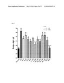 Pharmaceutical Composition for Anti-Obesity Comprising Complex Extracts,     Including Saururi Chinensis Baill. Extract, Curcumae Longae Rhizoma     Extract and Polygalae Radix Extract diagram and image