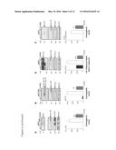 MATERIALS FOR POSITIVE CATHEPSIN B MODULATION AND METHODS OF USE FOR     TREATING MILD COGNITIVE IMPAIRMENT (MCI), EARLY DEMENTIA,     A-SYNUCLEINOPATHY, TRAUMATIC BRAIN INJURY, CARDIOMYOPATHY, EYE DISEASE     AND SKIN DAMAGE diagram and image