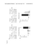 MATERIALS FOR POSITIVE CATHEPSIN B MODULATION AND METHODS OF USE FOR     TREATING MILD COGNITIVE IMPAIRMENT (MCI), EARLY DEMENTIA,     A-SYNUCLEINOPATHY, TRAUMATIC BRAIN INJURY, CARDIOMYOPATHY, EYE DISEASE     AND SKIN DAMAGE diagram and image