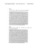 PHARMACEUTICAL COMPOSITION CONTAINING A STABILISED mRNA OPTIMISED FOR     TRANSLATION IN ITS CODING REGIONS diagram and image