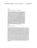 PHARMACEUTICAL COMPOSITION CONTAINING A STABILISED mRNA OPTIMISED FOR     TRANSLATION IN ITS CODING REGIONS diagram and image