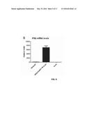 LIVE ATTENUATED VACCINES FOR INFLUENZA VIRUSES diagram and image