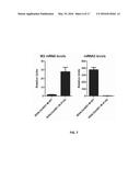 LIVE ATTENUATED VACCINES FOR INFLUENZA VIRUSES diagram and image