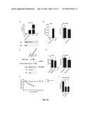 LIVE ATTENUATED VACCINES FOR INFLUENZA VIRUSES diagram and image