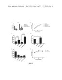 LIVE ATTENUATED VACCINES FOR INFLUENZA VIRUSES diagram and image