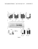 LIVE ATTENUATED VACCINES FOR INFLUENZA VIRUSES diagram and image