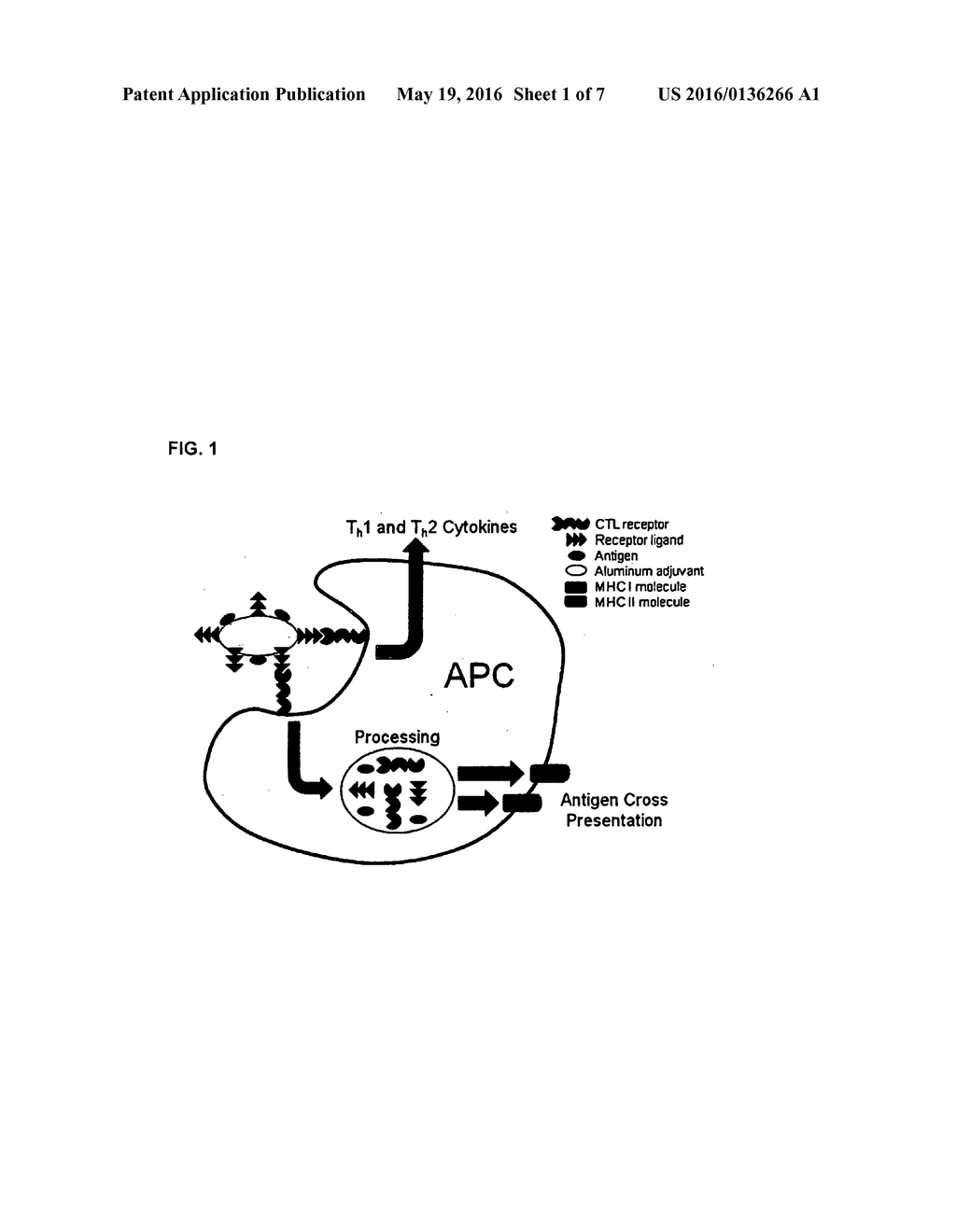 Vaccine system for vaccine adjuvant - diagram, schematic, and image 02